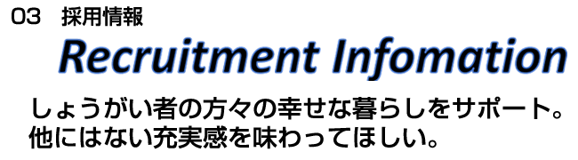 03@̗p